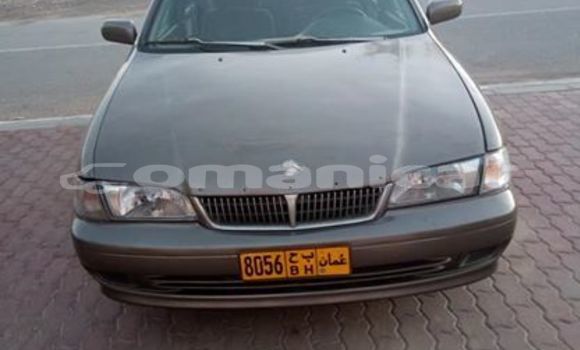 Buy Used Nissan Sunny Brown Car in Muscat in Masqat Buy Used Nissan Sunny Brown Car in Muscat in Masqat
