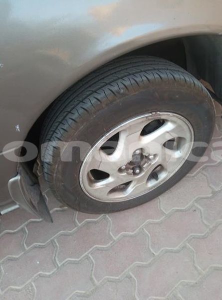 Big with watermark 51904270 1070035669834541 6483854256934748160 n