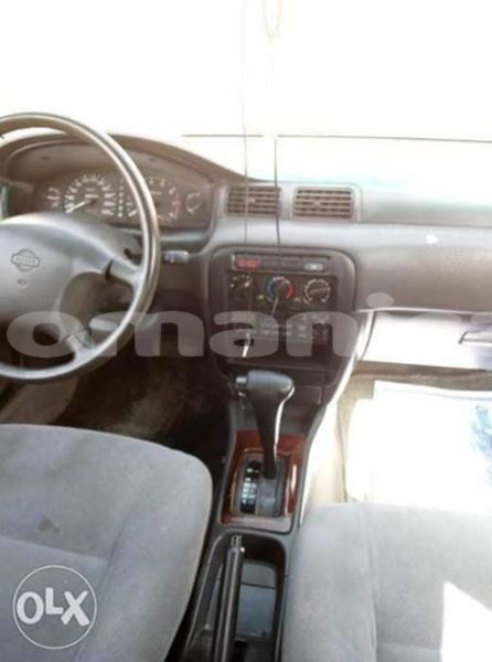 Big with watermark 51904270 1070035599834548 3156926440029552640 n