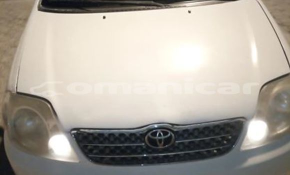 Buy Used Toyota Corolla White Car in Muscat in Masqat Buy Used Toyota Corolla White Car in Muscat in Masqat
