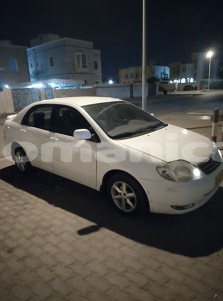 Big with watermark 45013098 1005742679597174 5197252131463102464 n