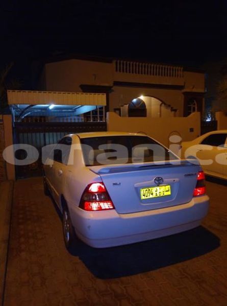 Big with watermark 45017752 1005742722930503 7636916249921847296 n