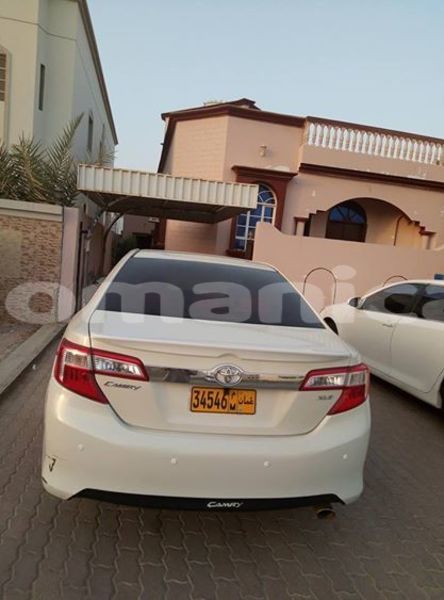 Big with watermark 42421097 987204384784337 1242505451430477824 n