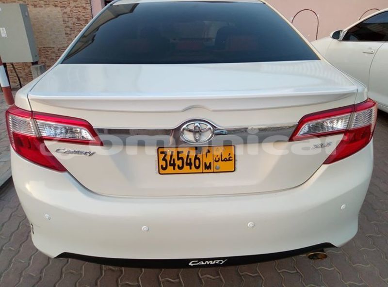 Big with watermark 42453316 987204184784357 8415851415645192192 o