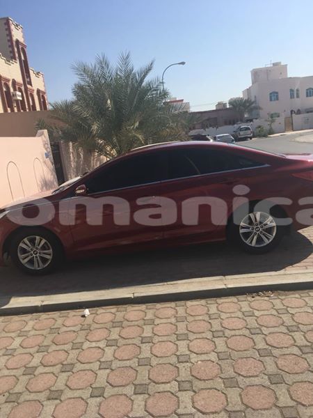 Big with watermark 26239672 821600081344769 7276860728381961098 n