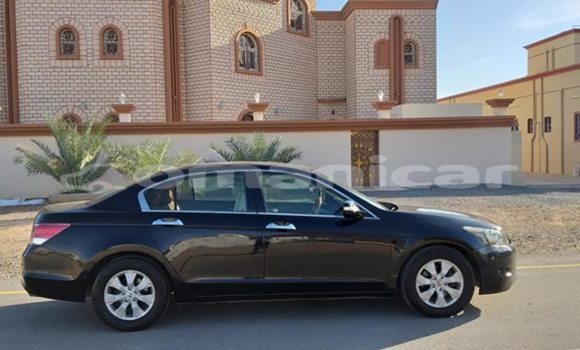 Buy Used Honda Accord Black Car in Muscat in Masqat