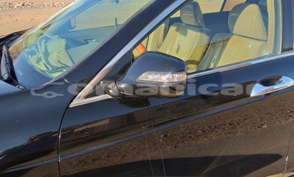 Buy Used Honda Accord Black Car in Muscat in Masqat Buy Used Honda Accord Black Car in Muscat in Masqat