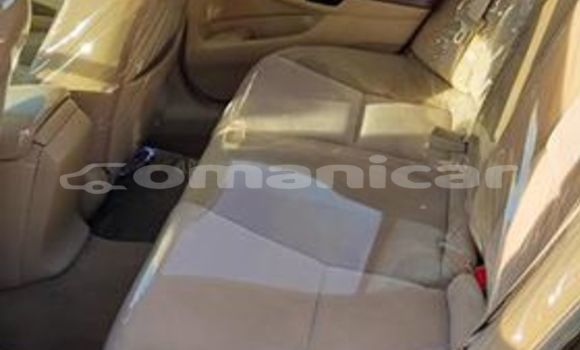 Buy Used Honda Accord Black Car in Muscat in Masqat Buy Used Honda Accord Black Car in Muscat in Masqat
