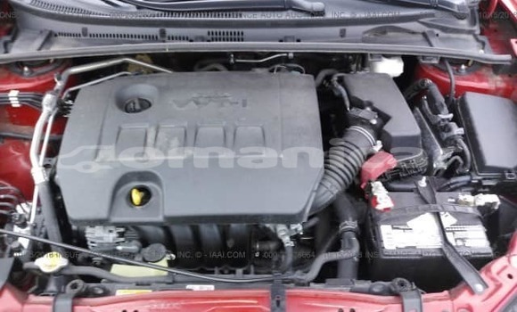 Buy Used Toyota Corolla Red Car in Masqat in Masqat Buy Used Toyota Corolla Red Car in Masqat in Masqat