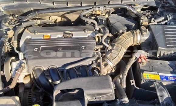 Buy Used Honda Accord Black Car in Muscat in Masqat Buy Used Honda Accord Black Car in Muscat in Masqat