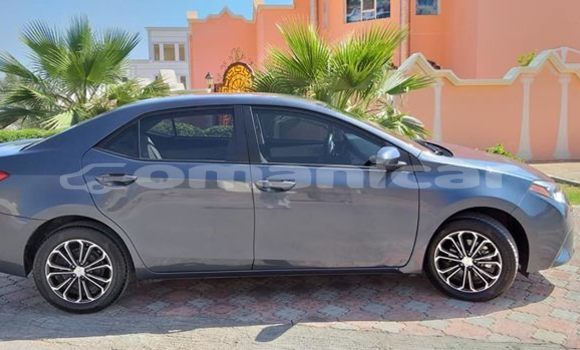 Buy Used Toyota Corolla Other Car in Nizwa in ad-Dakhiliyah Buy Used Toyota Corolla Other Car in Nizwa in ad-Dakhiliyah