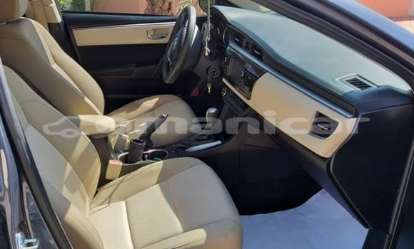 Buy Used Toyota Corolla Other Car in Nizwa in ad-Dakhiliyah Buy Used Toyota Corolla Other Car in Nizwa in ad-Dakhiliyah