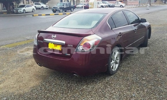 Buy Used Nissan Altima Red Car in Muscat in Masqat Buy Used Nissan Altima Red Car in Muscat in Masqat