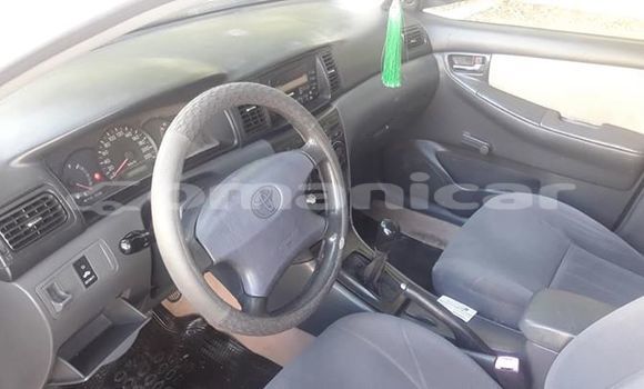 Buy Used Toyota Corolla White Car in Muscat in Masqat Buy Used Toyota Corolla White Car in Muscat in Masqat