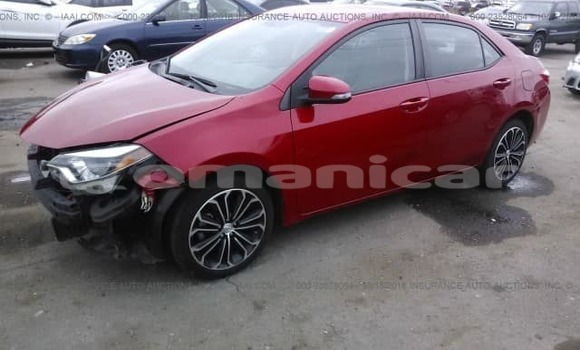 Buy Used Toyota Corolla Red Car in Masqat in Masqat Buy Used Toyota Corolla Red Car in Masqat in Masqat