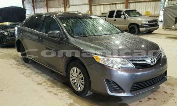 Buy Used Toyota Camry Other Car in Masqat in Masqat