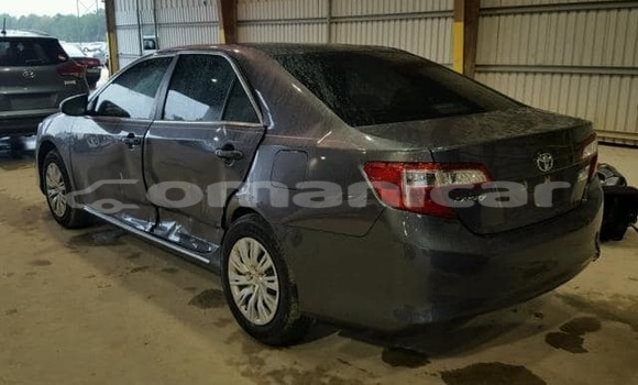 Buy Used Toyota Camry Other Car in Masqat in Masqat Buy Used Toyota Camry Other Car in Masqat in Masqat