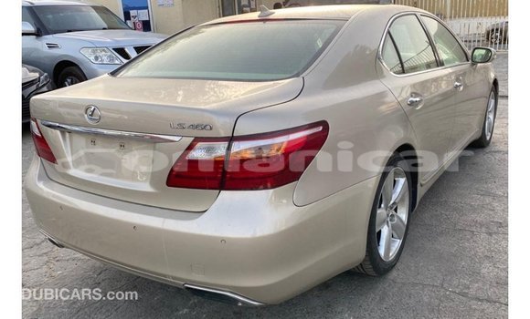 Buy Import Lexus LS Other Car in Import - Dubai in Dhufar Buy Import Lexus LS Other Car in Import - Dubai in Dhufar