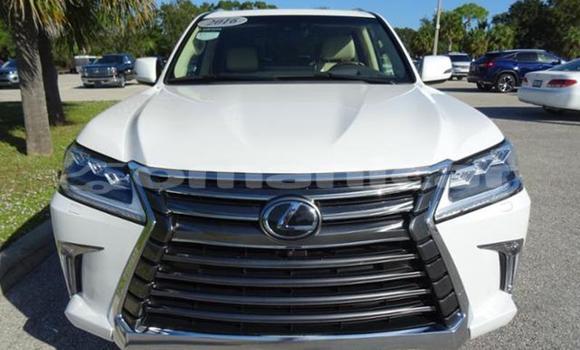 Buy Used Lexus LX 570 White Car in Salalah in Dhufar Buy Used Lexus LX 570 White Car in Salalah in Dhufar
