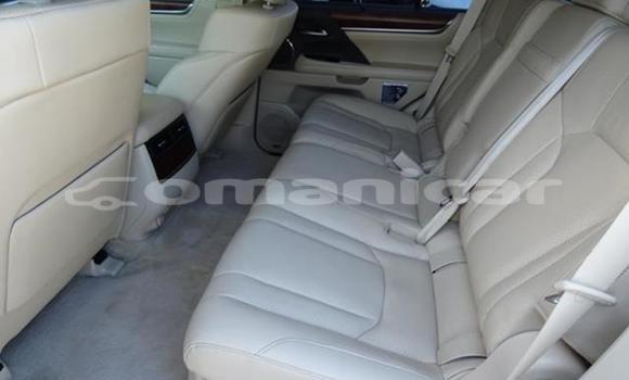 Buy Used Lexus LX 570 White Car in Salalah in Dhufar Buy Used Lexus LX 570 White Car in Salalah in Dhufar