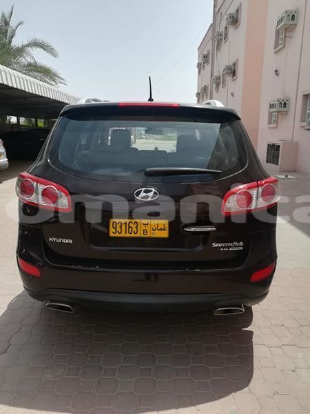 Big with watermark 55939371 2373805619366985 113238998897393664 n