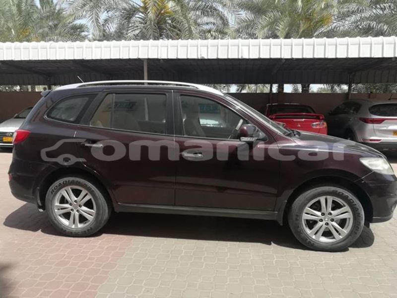 Big with watermark 55604096 2373805642700316 8878742980555440128 n