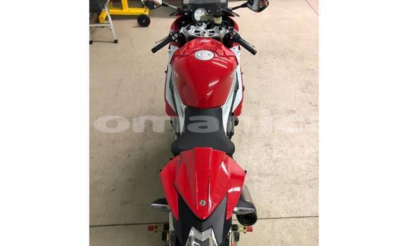 Buy Used BMW S 1000 Red Bike in Muscat in Masqat Buy Used BMW S 1000 Red Bike in Muscat in Masqat