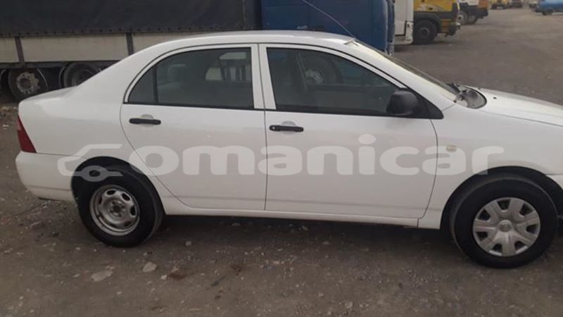 Big with watermark 53705902 175235456791624 6721671711420317696 n