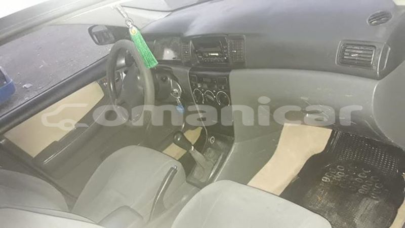 Big with watermark 53720121 175235486791621 2288092201437102080 n