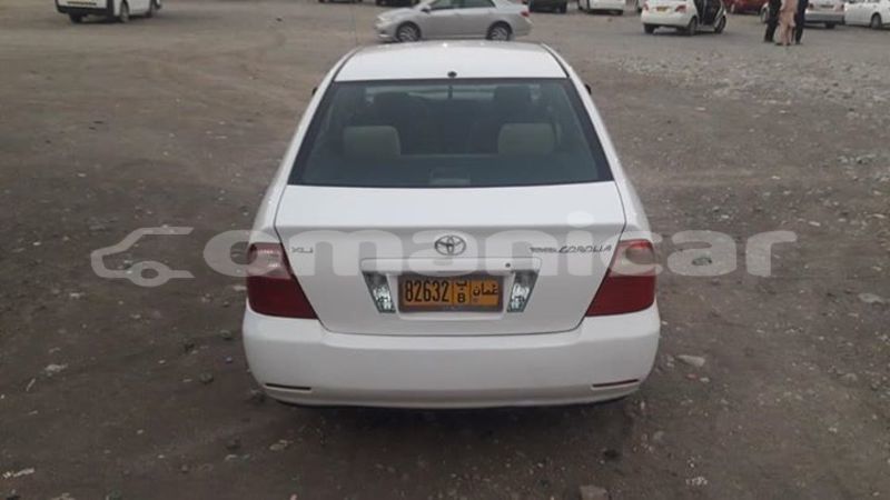 Big with watermark 53724379 175235503458286 8377607016796913664 n