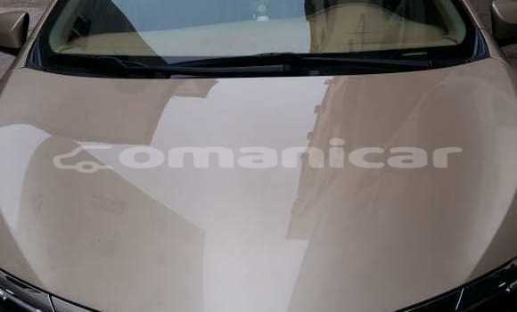 Buy New Toyota Corolla Beige Car in Salalah in Dhufar Buy New Toyota Corolla Beige Car in Salalah in Dhufar