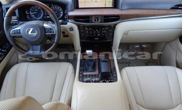 Buy Used Lexus LX 570 White Car in Salalah in Dhufar Buy Used Lexus LX 570 White Car in Salalah in Dhufar