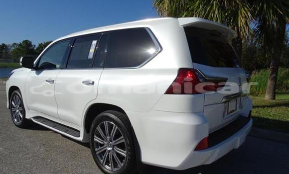 Buy Used Lexus LX 570 White Car in Salalah in Dhufar Buy Used Lexus LX 570 White Car in Salalah in Dhufar