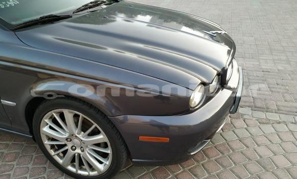 Buy Used Jaguar X–Type Silver Car in as–Sib in Masqat Buy Used Jaguar X–Type Silver Car in as–Sib in Masqat
