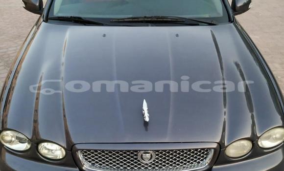 Buy Used Jaguar X–Type Silver Car in as–Sib in Masqat Buy Used Jaguar X–Type Silver Car in as–Sib in Masqat