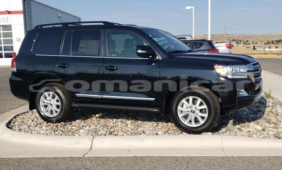 Buy Used Toyota Land Cruiser White Car in Masqat in Masqat