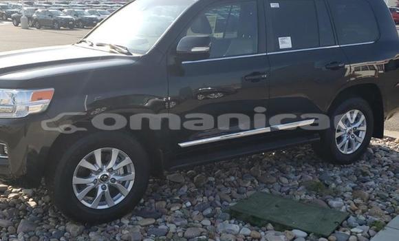 Buy Used Toyota Land Cruiser White Car in Masqat in Masqat Buy Used Toyota Land Cruiser White Car in Masqat in Masqat