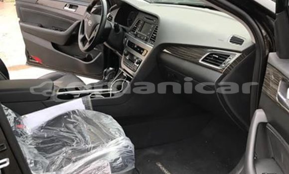 Buy Used Hyundai Sonata Black Car in Muscat in Masqat Buy Used Hyundai Sonata Black Car in Muscat in Masqat