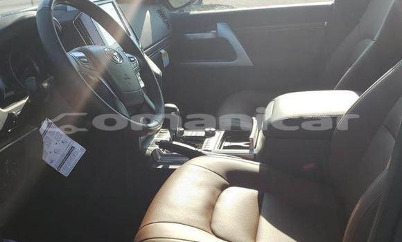 Buy Used Toyota Land Cruiser White Car in Masqat in Masqat Buy Used Toyota Land Cruiser White Car in Masqat in Masqat