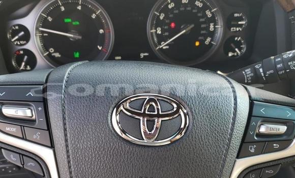 Buy Used Toyota Land Cruiser White Car in Masqat in Masqat Buy Used Toyota Land Cruiser White Car in Masqat in Masqat