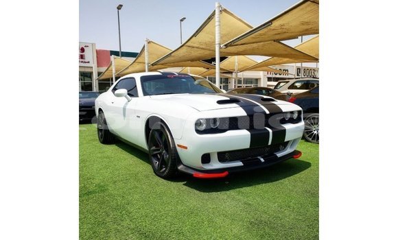 Buy Import Dodge Challenger White Car in Import - Dubai in Dhufar