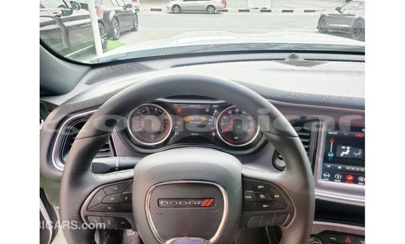 Buy Import Dodge Challenger White Car in Import - Dubai in Dhufar Buy Import Dodge Challenger White Car in Import - Dubai in Dhufar