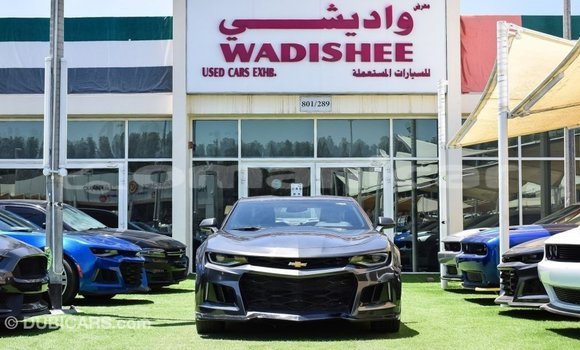 Buy Import Chevrolet Camaro Other Car in Import - Dubai in Dhufar Buy Import Chevrolet Camaro Other Car in Import - Dubai in Dhufar