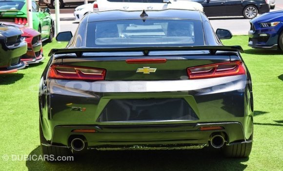 Buy Import Chevrolet Camaro Other Car in Import - Dubai in Dhufar Buy Import Chevrolet Camaro Other Car in Import - Dubai in Dhufar