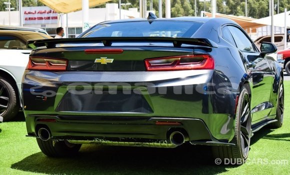 Buy Import Chevrolet Camaro Other Car in Import - Dubai in Dhufar Buy Import Chevrolet Camaro Other Car in Import - Dubai in Dhufar