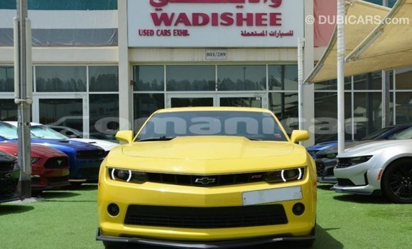 Buy Import Chevrolet Camaro Other Car in Import - Dubai in Dhufar Buy Import Chevrolet Camaro Other Car in Import - Dubai in Dhufar