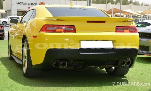Buy Import Chevrolet Camaro Other Car in Import - Dubai in Dhufar Buy Import Chevrolet Camaro Other Car in Import - Dubai in Dhufar