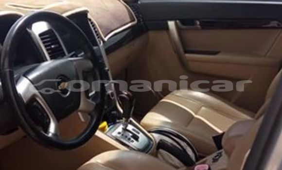 Buy Used Chevrolet Captiva Silver Car in Muscat in Masqat Buy Used Chevrolet Captiva Silver Car in Muscat in Masqat
