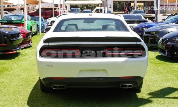 Buy Import Dodge Challenger White Car in Import - Dubai in Dhufar Buy Import Dodge Challenger White Car in Import - Dubai in Dhufar