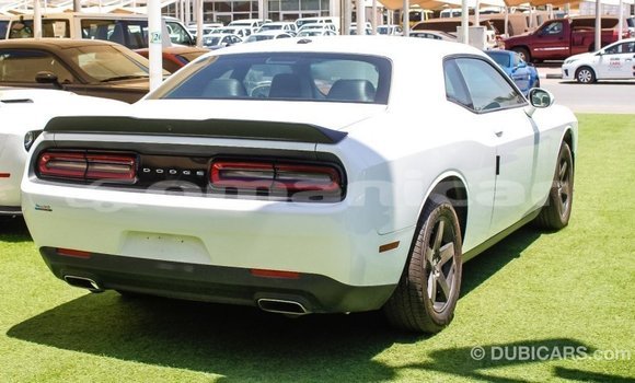 Buy Import Dodge Challenger White Car in Import - Dubai in Dhufar Buy Import Dodge Challenger White Car in Import - Dubai in Dhufar